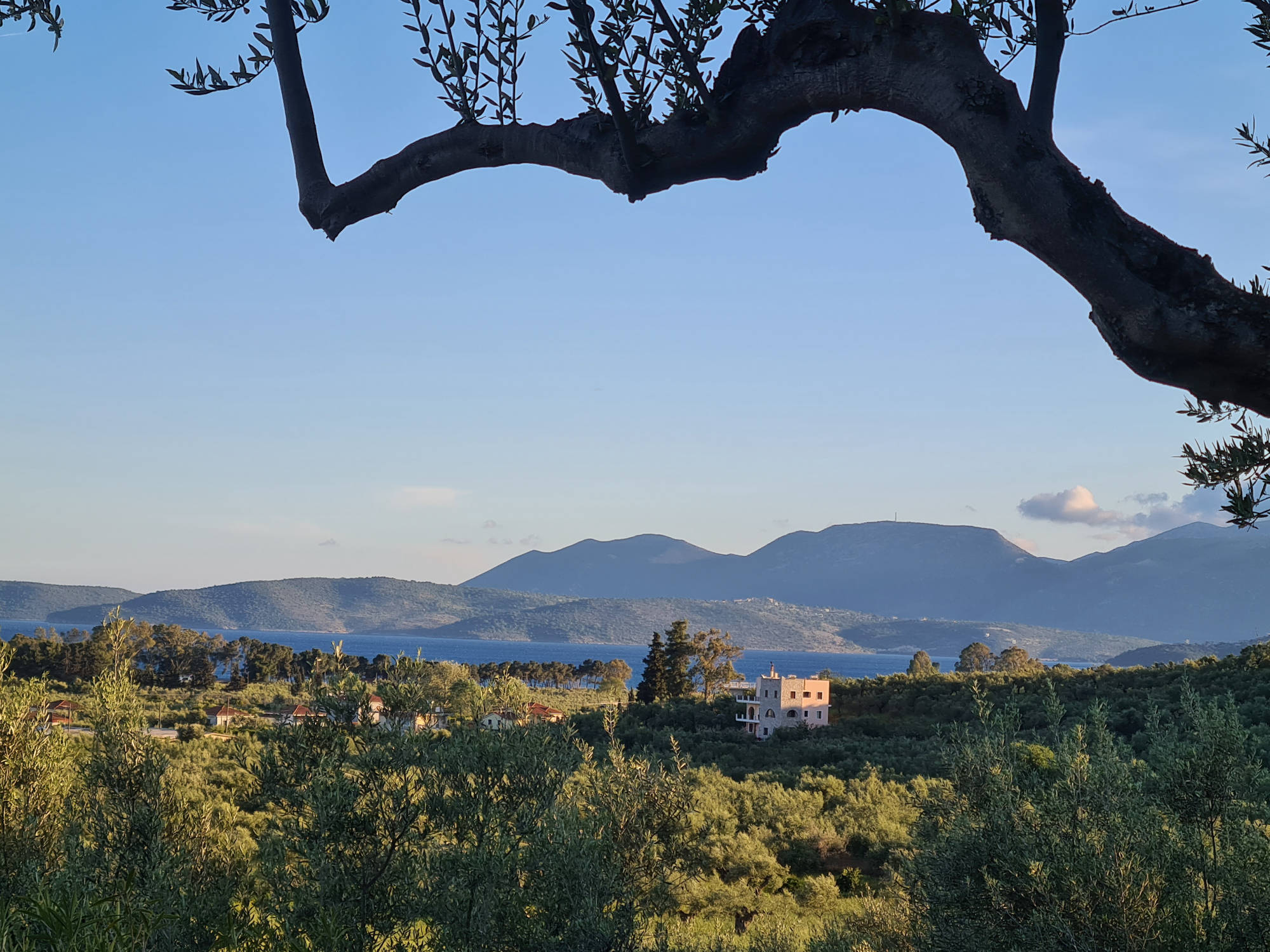 The view from the garden