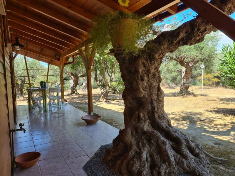 Entrance area of Studio 3 and 4