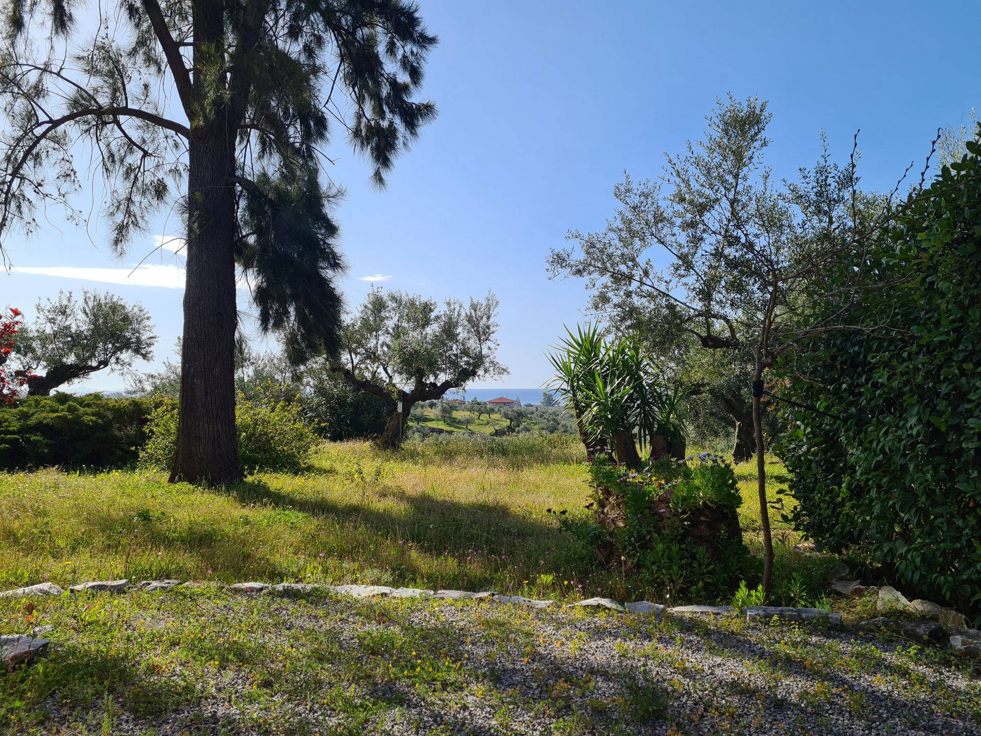 View from the garden onto the sea