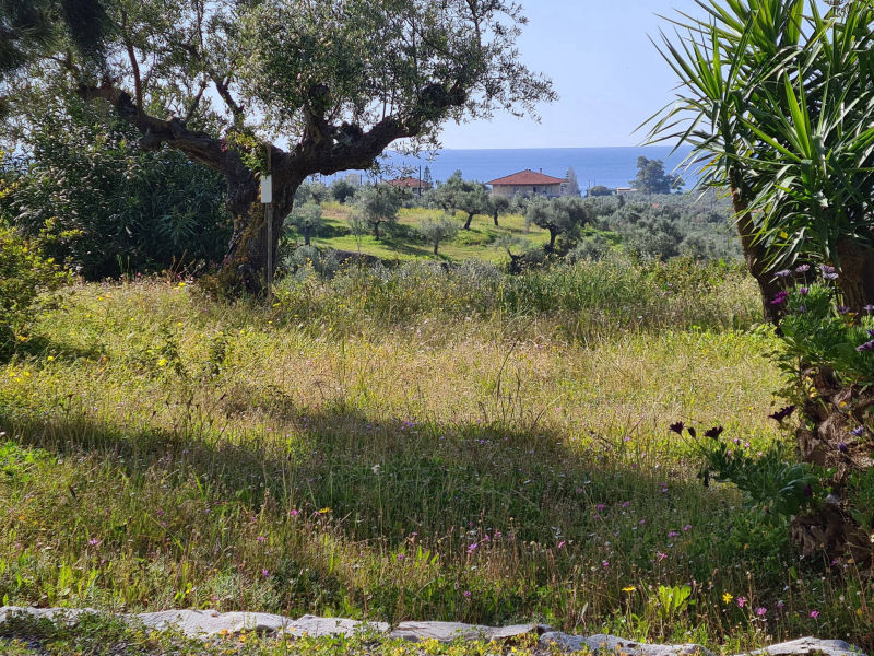 View from the garden onto the sea