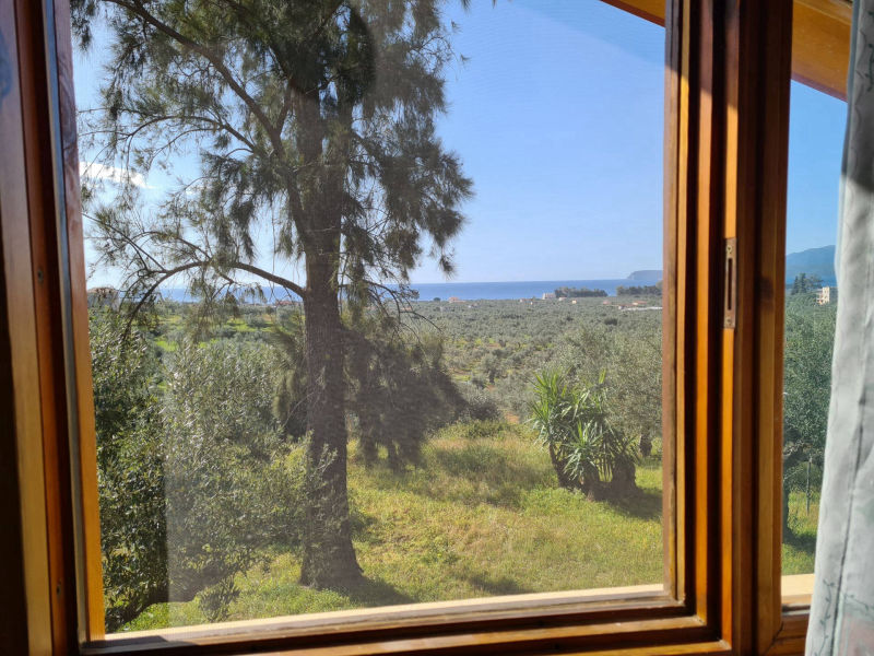 View from the upper window