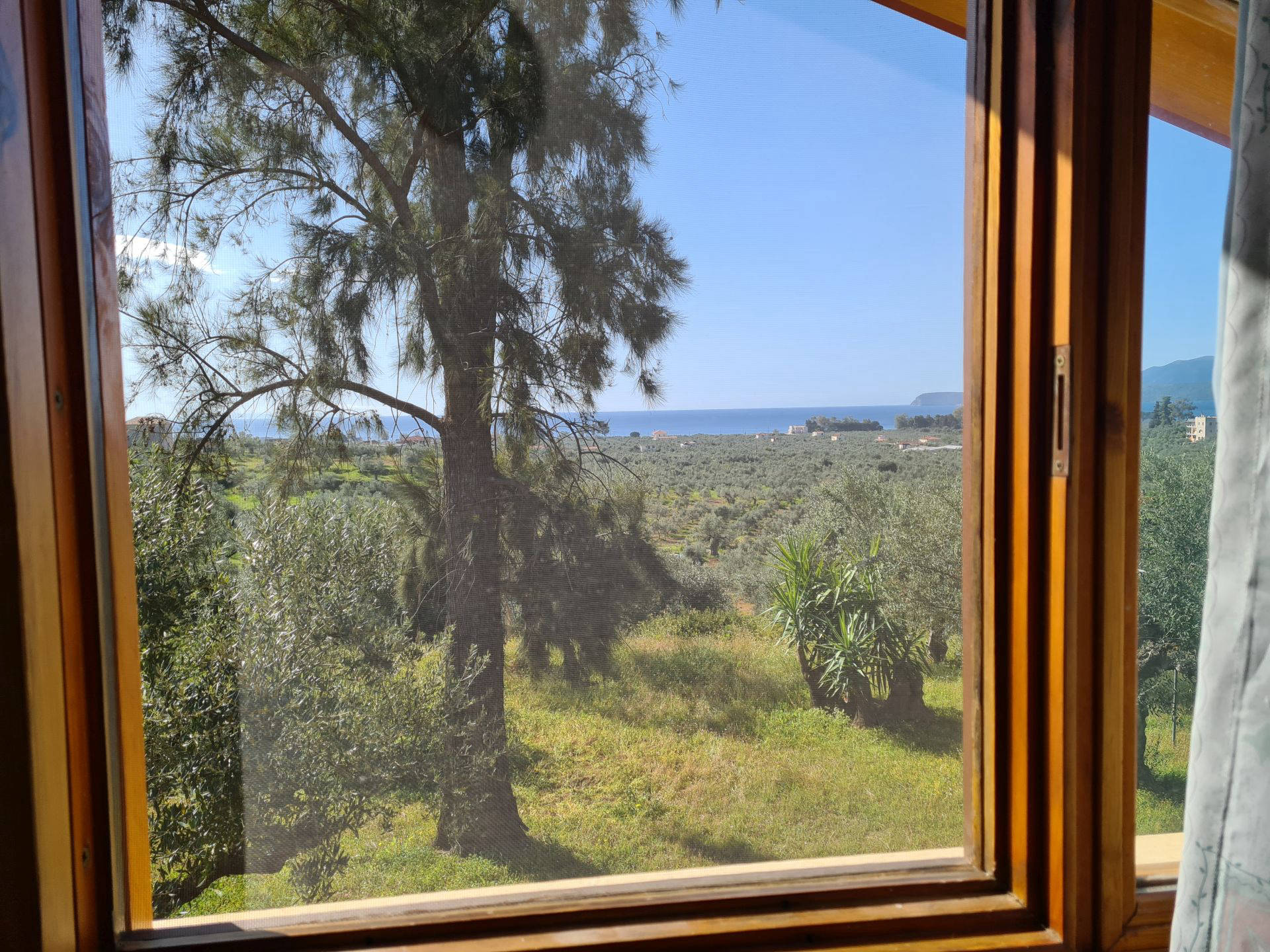 View from the upper window