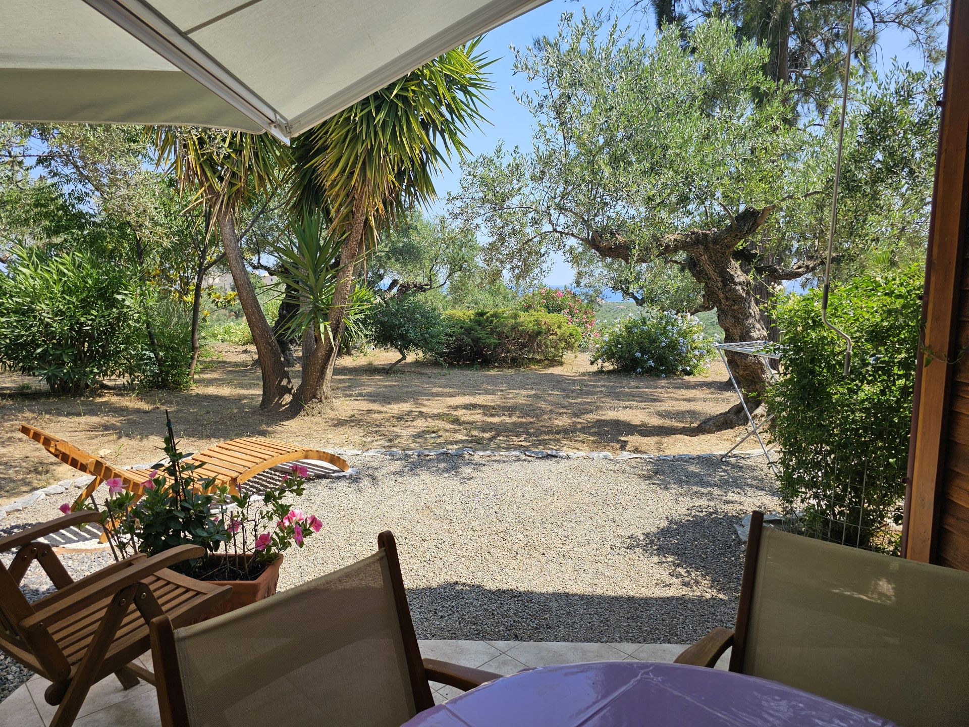 Terrace of Studio No 1