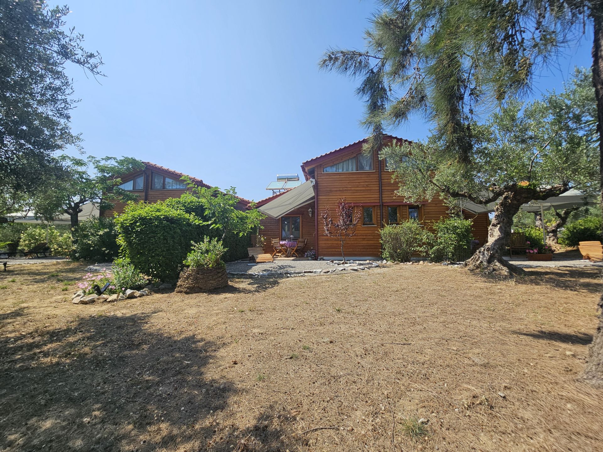 The houses and the garden